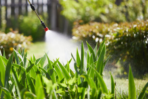 24/7 Emergency Ant Control experts in Roxboro, NC
