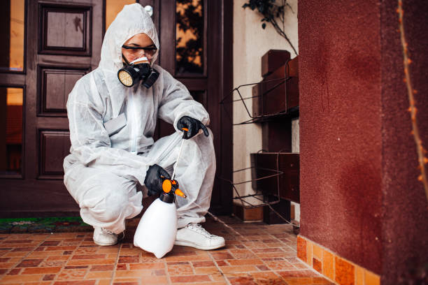 Reliable Ant Control contractor in Roxboro, NC by Nex Pest Control