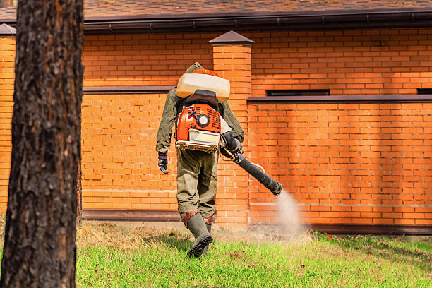Top rated local Ant Control specialists in Roxboro, NC